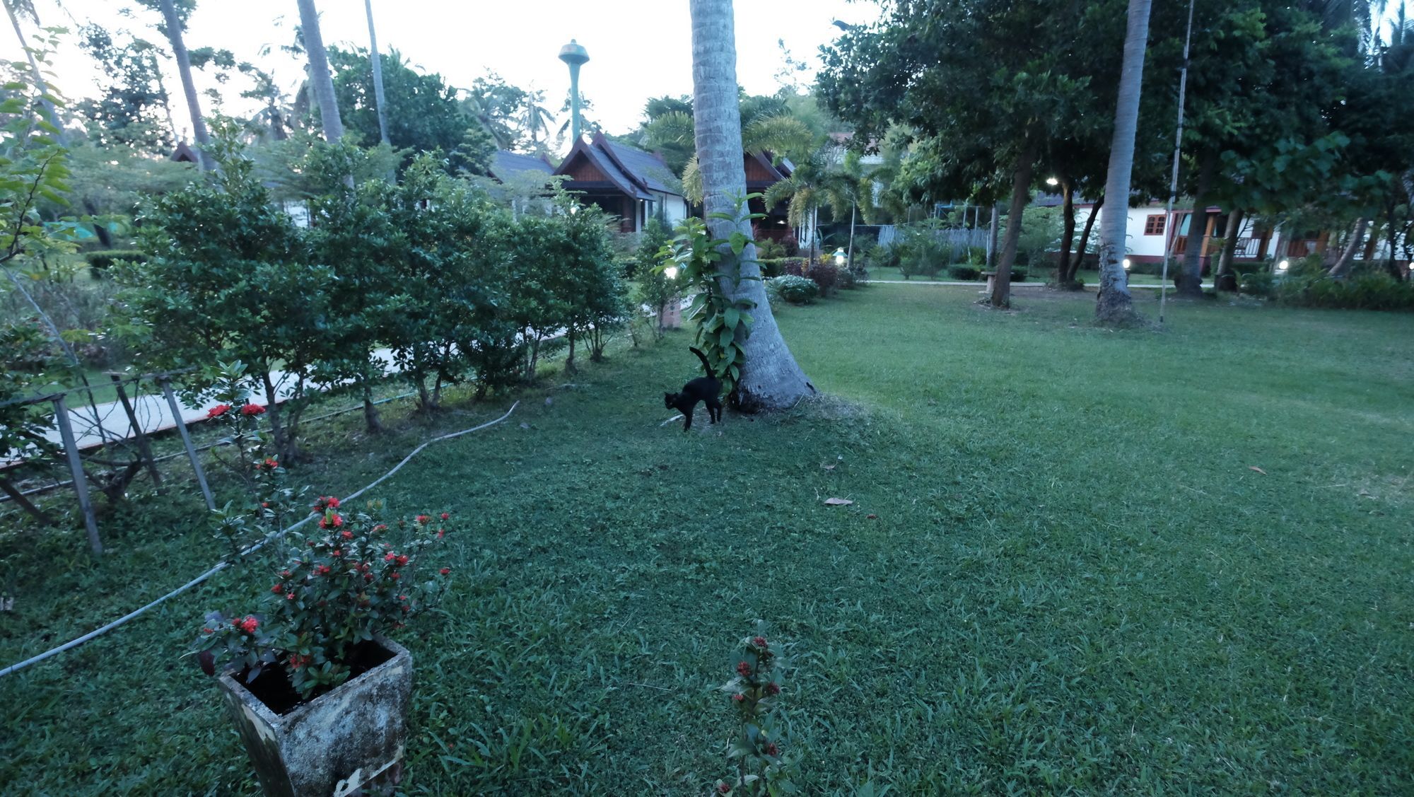 Rasa Sayang Resort - Sha Certificate Koh Lanta Ngoại thất bức ảnh